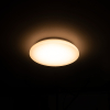 123led LED Plafondlamp | Ø 27 cm | 3000K | 1160 lumen | IP44 | 12W  LDR02030 - 3