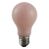 123led LED lamp E27 | Peer A60 | Flame | 1900K | Dimbaar | 4.5W (25W)