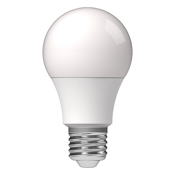 123led LED lamp E27 | Peer A60 | Mat | 2700K | 2.5W (25W)  LDR06470 - 1
