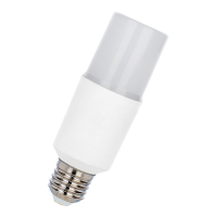 Bailey LED lamp E27 | Buislamp T45 | 4000K | Mat | 12W (83W)  LBA00212