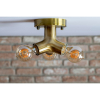 Bailey Wand-/plafondlamp E27 | Rond | Goud  LBA00277 - 3