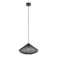 Eglo Hanglamp E27 | Dolwen 1 | Zwart  LEG00202