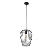 Eglo Hanglamp E27 | Newtown | Zwart  LEG00256