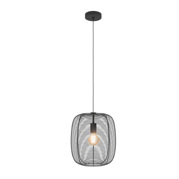 Eglo Hanglamp E27 | Rinroe | Zwart  LEG00271 - 1