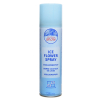 Ijsbloemspray 150 ml | Decoris