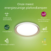 Philips Pebblo plafondlamp | Ultra Efficient | SceneSwitch | 2700K | Ø 32 cm | Wit/Goud | 10W  LPH03740 - 3