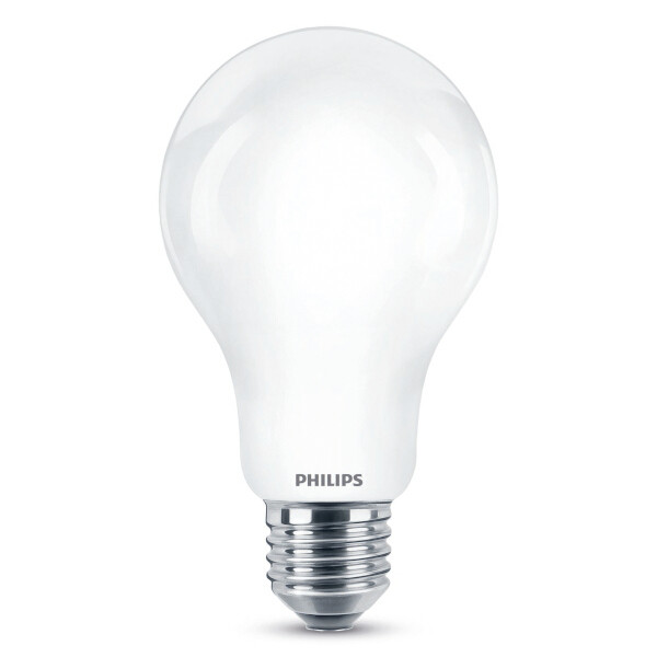 seksueel taart Kosciuszko Philips LED lamp E27 | Peer A67 | Mat | 2700K | 17.5W (150W) Signify  123led.nl