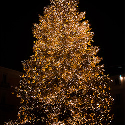  Koppelbare kerstverlichting voor professioneel gebruik