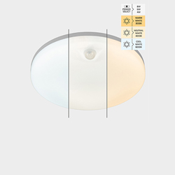 Plafondlampen met sensor 