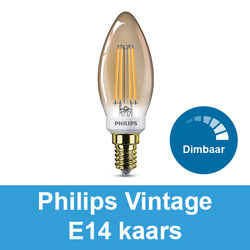 Kangoeroe ruw orgaan Philips Vintage E14 kaars Philips Deco Philips Alle led lampen 123led.nl