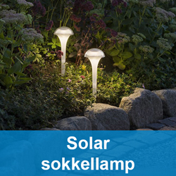 ⋙ Solar LED tuinverlichting kopen? |